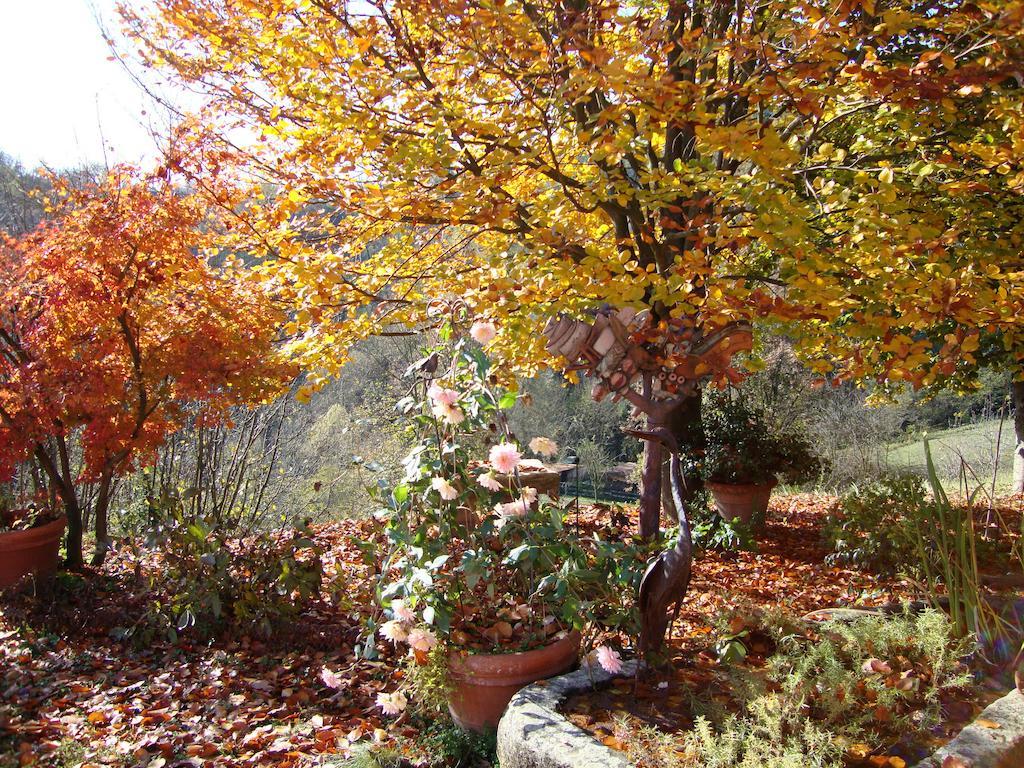 مبيت وإفطار Moncucco Torinese Cascina Nel Bosco المظهر الخارجي الصورة