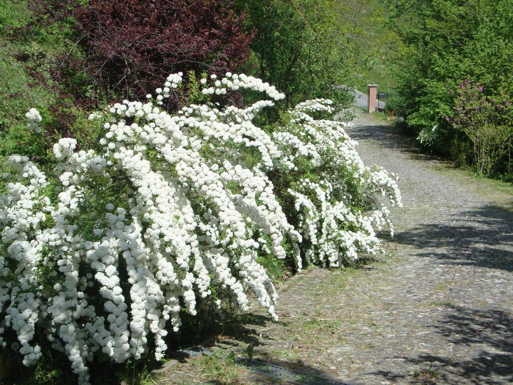 مبيت وإفطار Moncucco Torinese Cascina Nel Bosco المظهر الخارجي الصورة